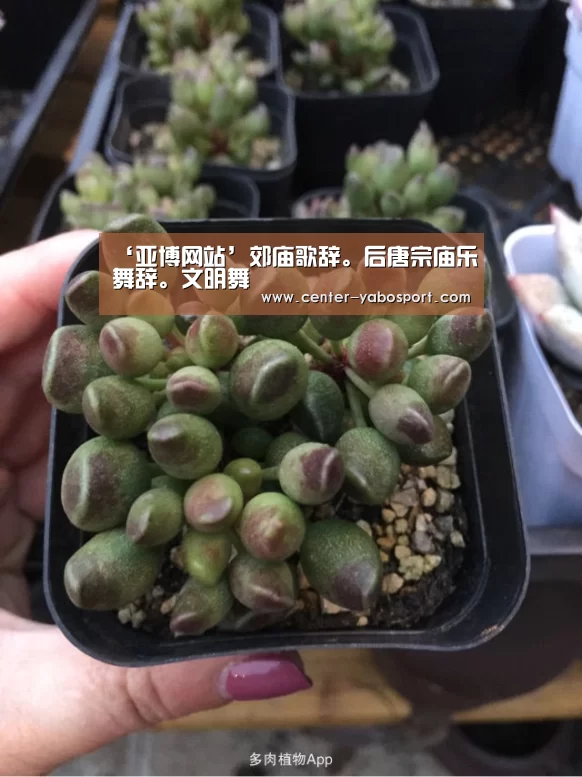 ‘亚博网站’郊庙歌辞。后唐宗庙乐舞辞。文明舞(图2) 亚博网站