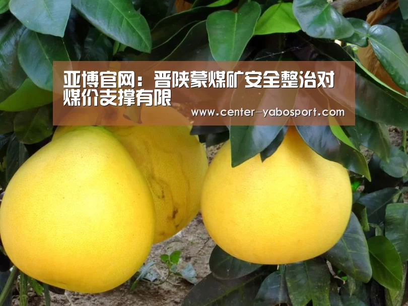 亚博官网:晋陕蒙煤矿安全整治对煤价支撑有限(图1) 亚博网站
